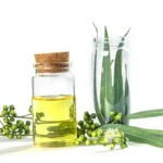 Eucalyptus Oil (80% Cineole)