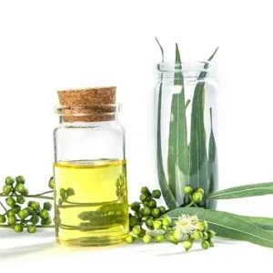 Eucalyptus Oil (80% Cineole)