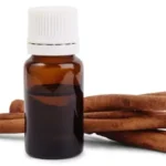 Cinnamon Bark Oil - Premium Steam-Distilled Essential Oil