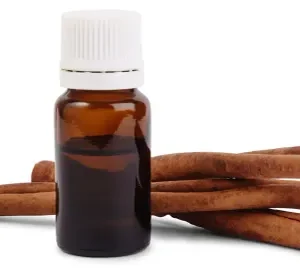 Cinnamon Bark Oil - Premium Steam-Distilled Essential Oil