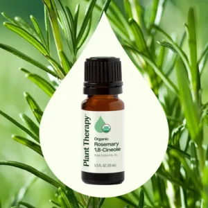 Rosemary Oil (Cineole Type) - Pure Essential Oil