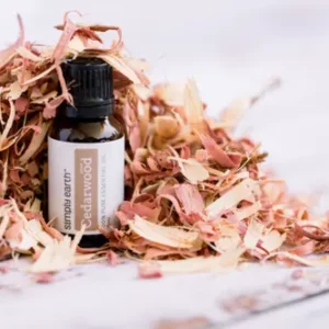 Authentic Atlas Cedarwood Oil | 100% Pure Essential Oil